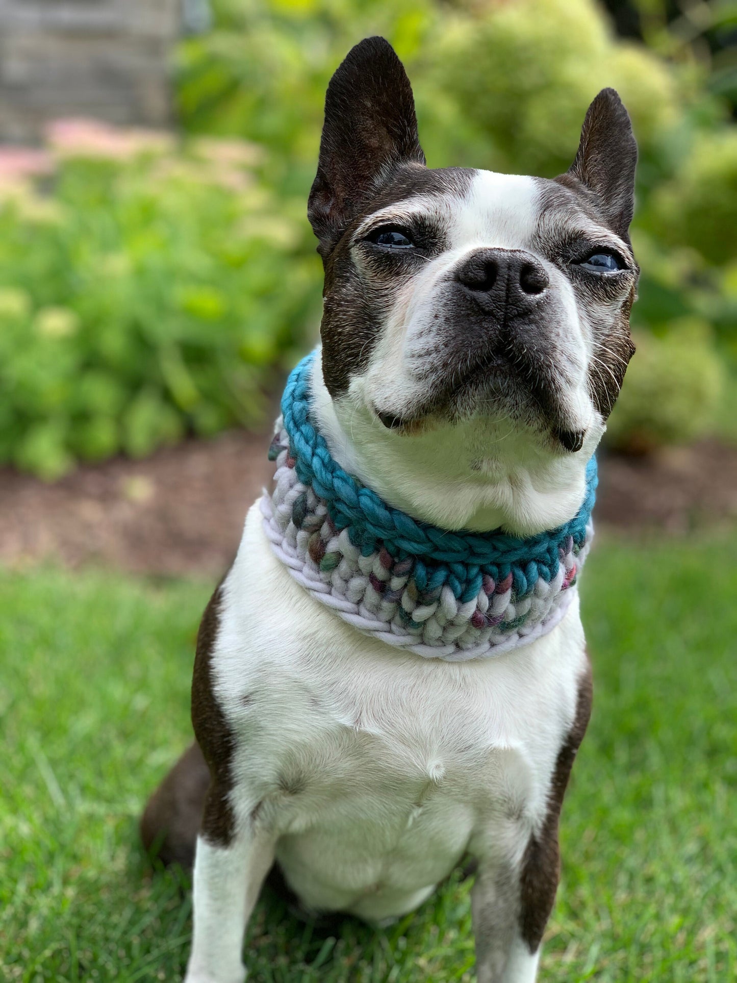 KNITTING PATTERN: Sunrise Pet Cowl | Easy Fair Isle Knit Cowl Pattern | Super Bulky Yarn Scrap Yarn Pattern
