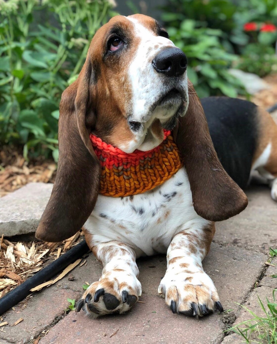 KNITTING PATTERN: Sunrise Pet Cowl | Easy Fair Isle Knit Cowl Pattern | Super Bulky Yarn Scrap Yarn Pattern
