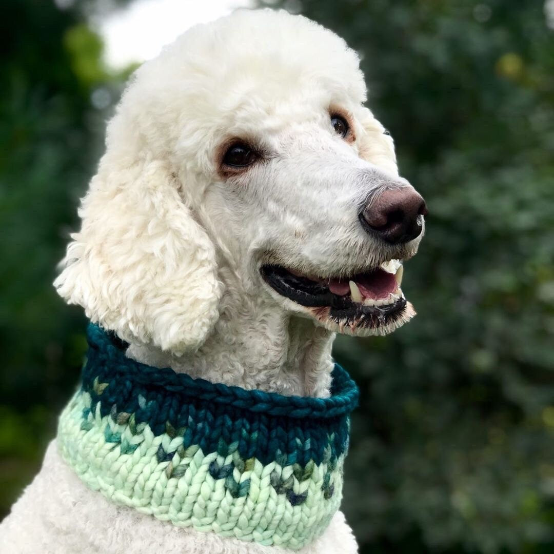 KNITTING PATTERN: Sunrise Pet Cowl | Easy Fair Isle Knit Cowl Pattern | Super Bulky Yarn Scrap Yarn Pattern