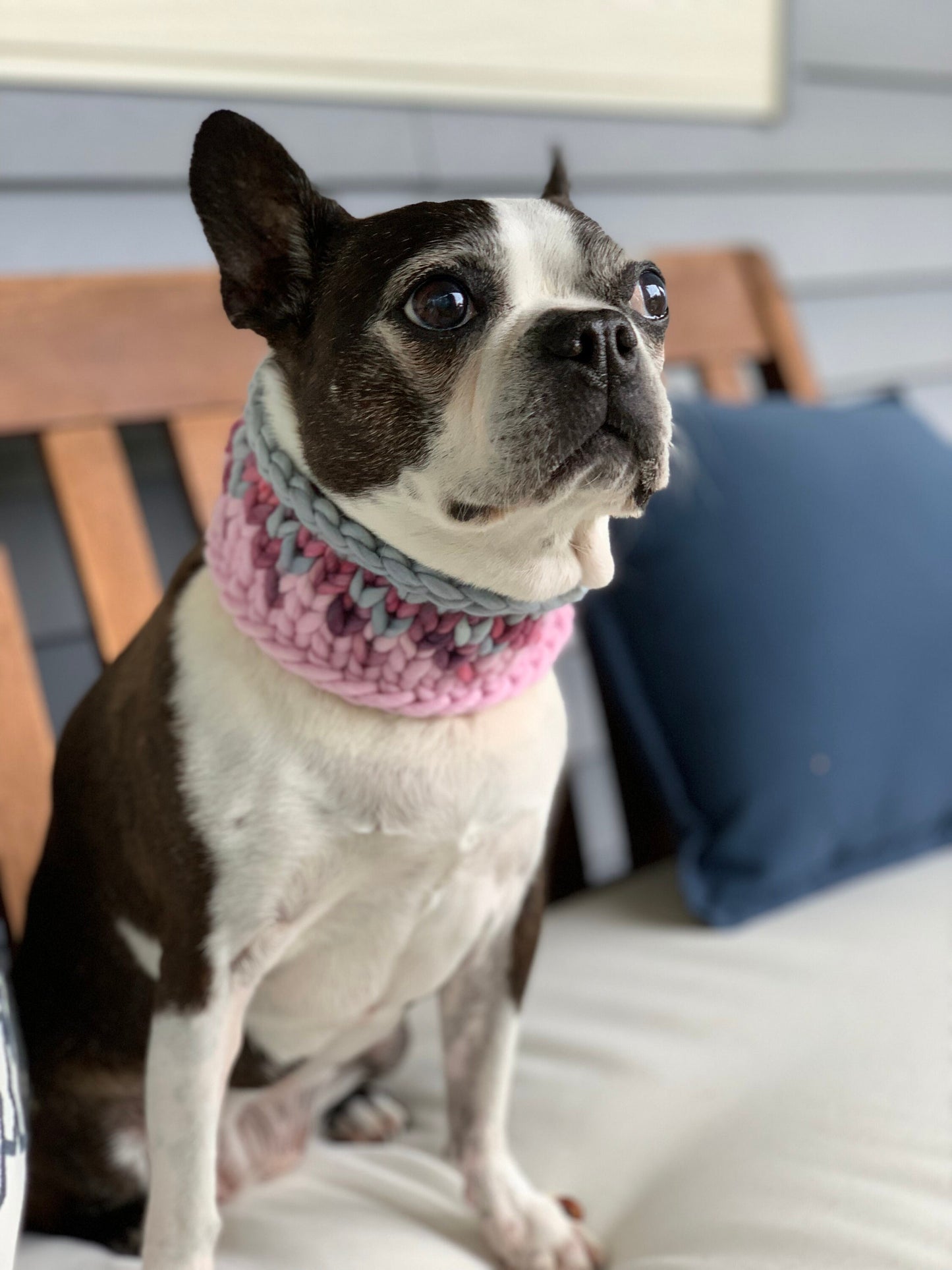 KNITTING PATTERN: Sunrise Pet Cowl | Easy Fair Isle Knit Cowl Pattern | Super Bulky Yarn Scrap Yarn Pattern